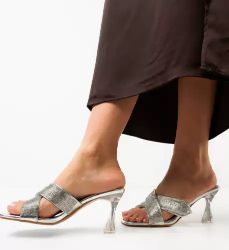 Saboti dama Dina Argintii